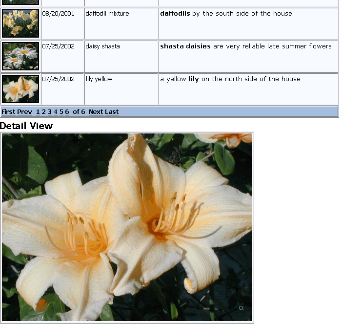 images/WPT_Displaying_Images.gif